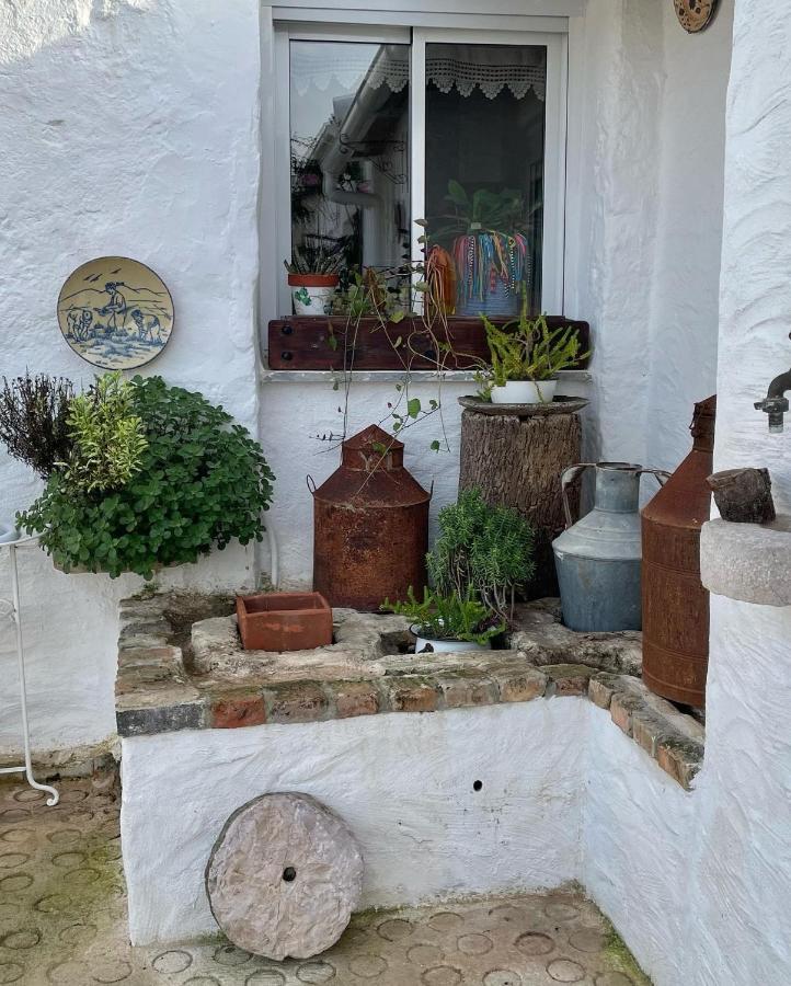 Salir Monte Carrascal Guesthouse المظهر الخارجي الصورة