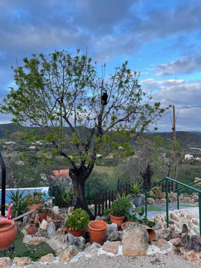 Salir Monte Carrascal Guesthouse المظهر الخارجي الصورة
